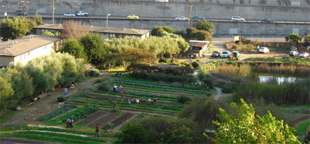 Friends_of_Alemany_Farm_001