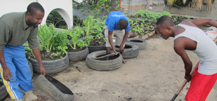 Nouvelle_Vie_Haiti_01