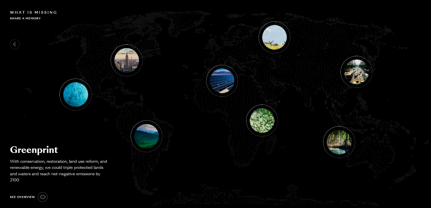 What Is Missing Project What is Missing? - Seed Fund Grants